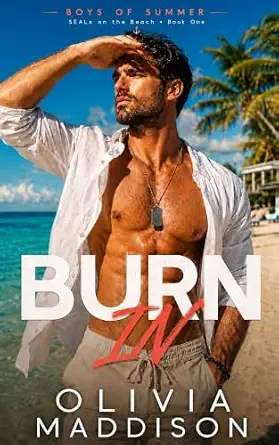 Burn In book cover