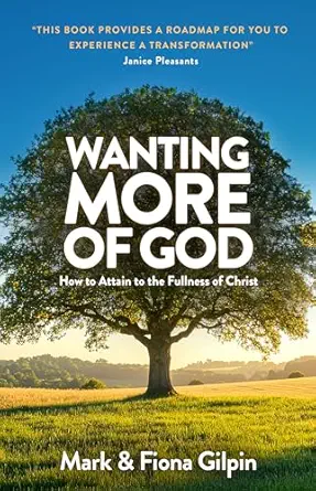 Wanting More of God book cover